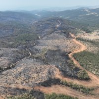 Başkan Bozbey: 10 bin futbol sahası kadar alanı kaybetmenin üzüntüsünü yaşıyoruz 