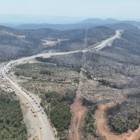 Başkan Bozbey: 10 bin futbol sahası kadar alanı kaybetmenin üzüntüsünü yaşıyoruz 
