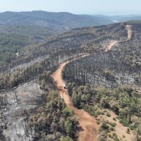 Başkan Bozbey: 10 bin futbol sahası kadar alanı kaybetmenin üzüntüsünü yaşıyoruz 