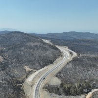 Başkan Bozbey: 10 bin futbol sahası kadar alanı kaybetmenin üzüntüsünü yaşıyoruz 
