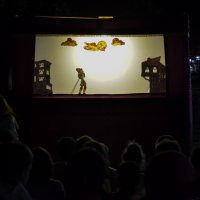 Karagöz Bursalıların gönlüne perde kurdu 