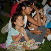 Karagöz Bursalıların gönlüne perde kurdu 