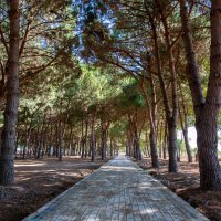 Bursa'ya devasa park ve mesire alanı  