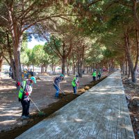 Bursa'ya devasa park ve mesire alanı  