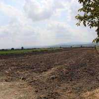 Büyükşehir'den çiftçiye bilimsel destek 