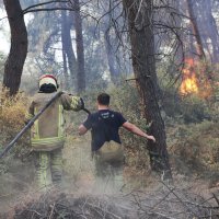 Büyükşehir'den Gündoğdu yangını seferberliği 