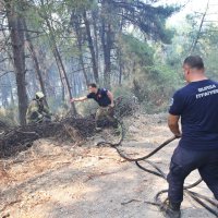 Büyükşehir'den Gündoğdu yangını seferberliği 