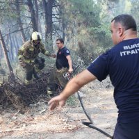Büyükşehir'den Gündoğdu yangını seferberliği 