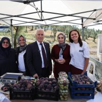 Çağlar öncesine festival tadında yolculuk 