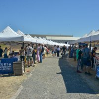 Arkeolojiyi eğlenerek öğrendiler 