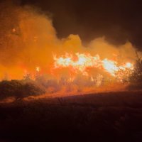 “Yangına karşı yoğun bir mücadele başlatıldı” 