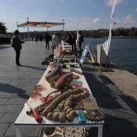 Denizden çıkan atıklar Marmara Forum’da sergilendi 