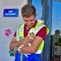 Büyükşehir’den can dostlara şefkat eli 