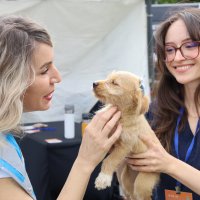 Can dostlar yeni yuvalarına kavuştu 