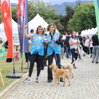 Can dostlar yeni yuvalarına kavuştu 