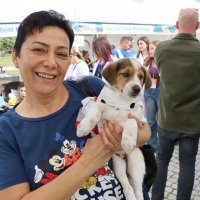 Can dostlar yeni yuvalarına kavuştu 