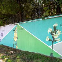 Bursa'nın hazineleri duvarları güzelleştiriyor 