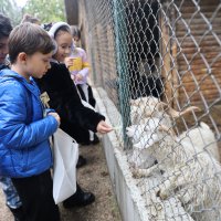 Minik kaşifler Leylek Göl Evi’nde 