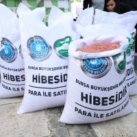Büyükşehir'den çiftçiye yerli tohum desteği 