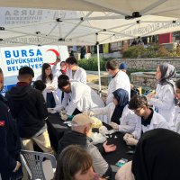 Diyabete karşı seferberlik 