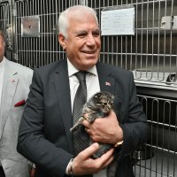 Bursa Büyükşehir patili dostların yanında 