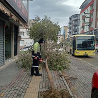 Lodosa karşı Büyükşehir ekipleri sahada 