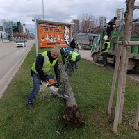 Lodosa karşı Büyükşehir ekipleri sahada 