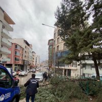 Büyükşehir ekipleri, şiddetli rüzgara karşı sahada 