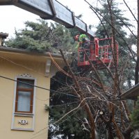 Büyükşehir ekipleri, şiddetli rüzgara karşı sahada 