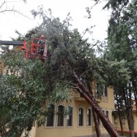 Büyükşehir ekipleri, şiddetli rüzgara karşı sahada 