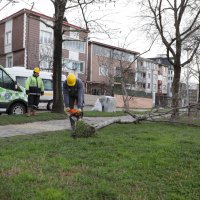 Başkan Bozbey'den ‘lodos’ uyarısı 