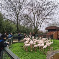 Doğa dedektifleri iz peşinde 