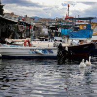 Balık sizden, mazot bizden 