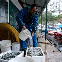Balık sizden, mazot bizden 