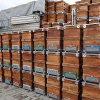 Büyükşehir'den arıcılara kovan desteği 