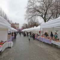 Üreten kadınlar Büyükşehir'le güçleniyor 