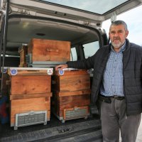 Kırsal üretime kovan desteği 
