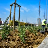 Bursa'da cadde ve bulvarlara estetik dokunuş 