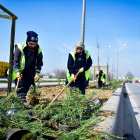 Bursa'da cadde ve bulvarlara estetik dokunuş 