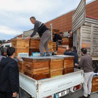 Arıcılık Bursa'da Büyükşehir'le canlandı 