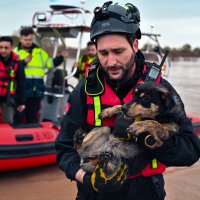 Büyükşehir'den hayat kurtaran operasyon 
