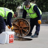 Sinek ve haşereyle etkin mücadele 