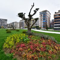 Balkan Bölge Parkı açılış için gün sayıyor 