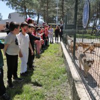 Bursa'da çocuklar patili dostlarla buluştu 
