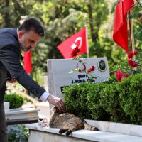 Başkan Vekili Şahin Biba’dan şehitlik ve esnaf ziyareti   