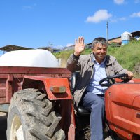 Büyükşehir'den üreticiye kaba yem desteği 