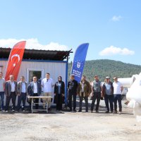 Büyükşehir'den üreticiye kaba yem desteği 
