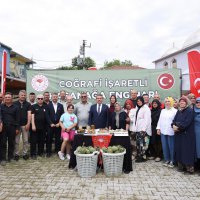 Bursa'nın tescilli lezzetinde hasat zamanı 