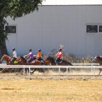 Rahvan at yarışları nefes kesti 