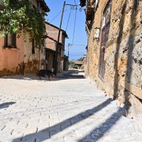 Büyükşehir'den Müşküle'ye altyapı ve üstyapı hamlesi 